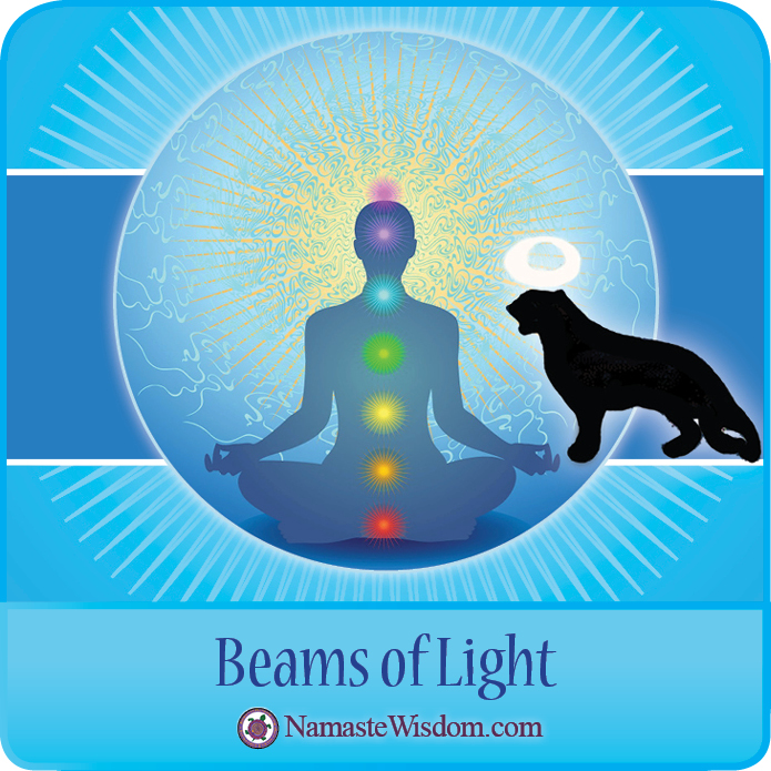 Namaste Wisdom 