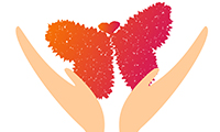 Special pricing for Non-Profits